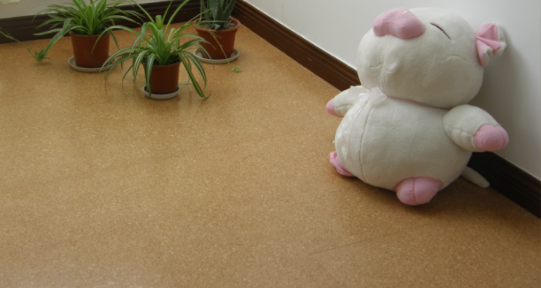 軟木地板的優(yōu)勢(shì)是什么，中林帶你了解一下！